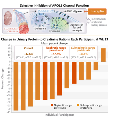 great example of precision medicine
Inaxaplin for Proteinuric Kidney Disease in Persons with Two APOL1 Variants | NEJM nejm.org/doi/full/10.10…