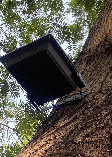 anjaya1905's tweet photo. Rs 20 crore public money being spent for three-day lighting apart from damage to trees in the name of C20 Summit. https://t.co/E1sQqJyRg3