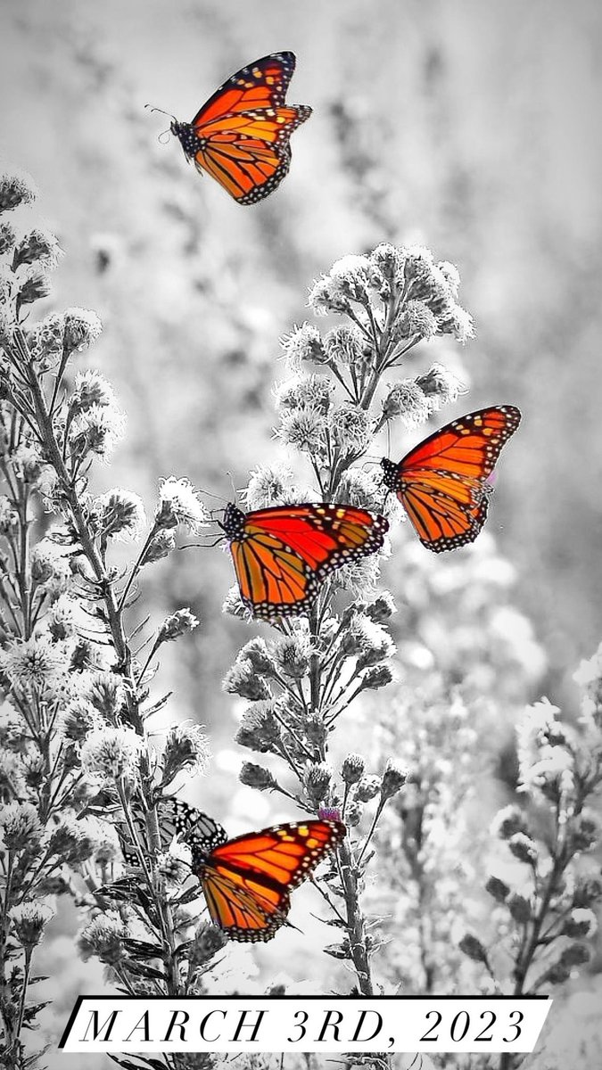 ellie ☀️ tweet media