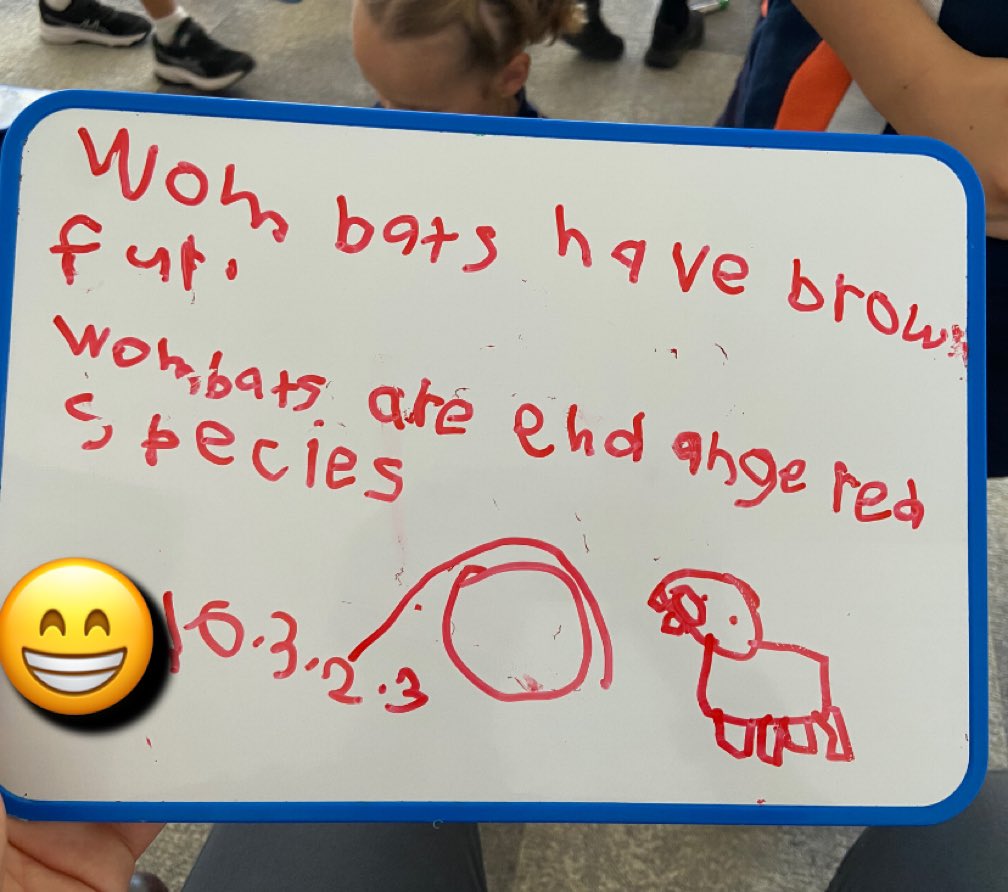 Today in Year 2, we built our schema on wombats to write descriptive, simple sentences. Students used explicit success criteria to construct their texts.  
#Nangamay