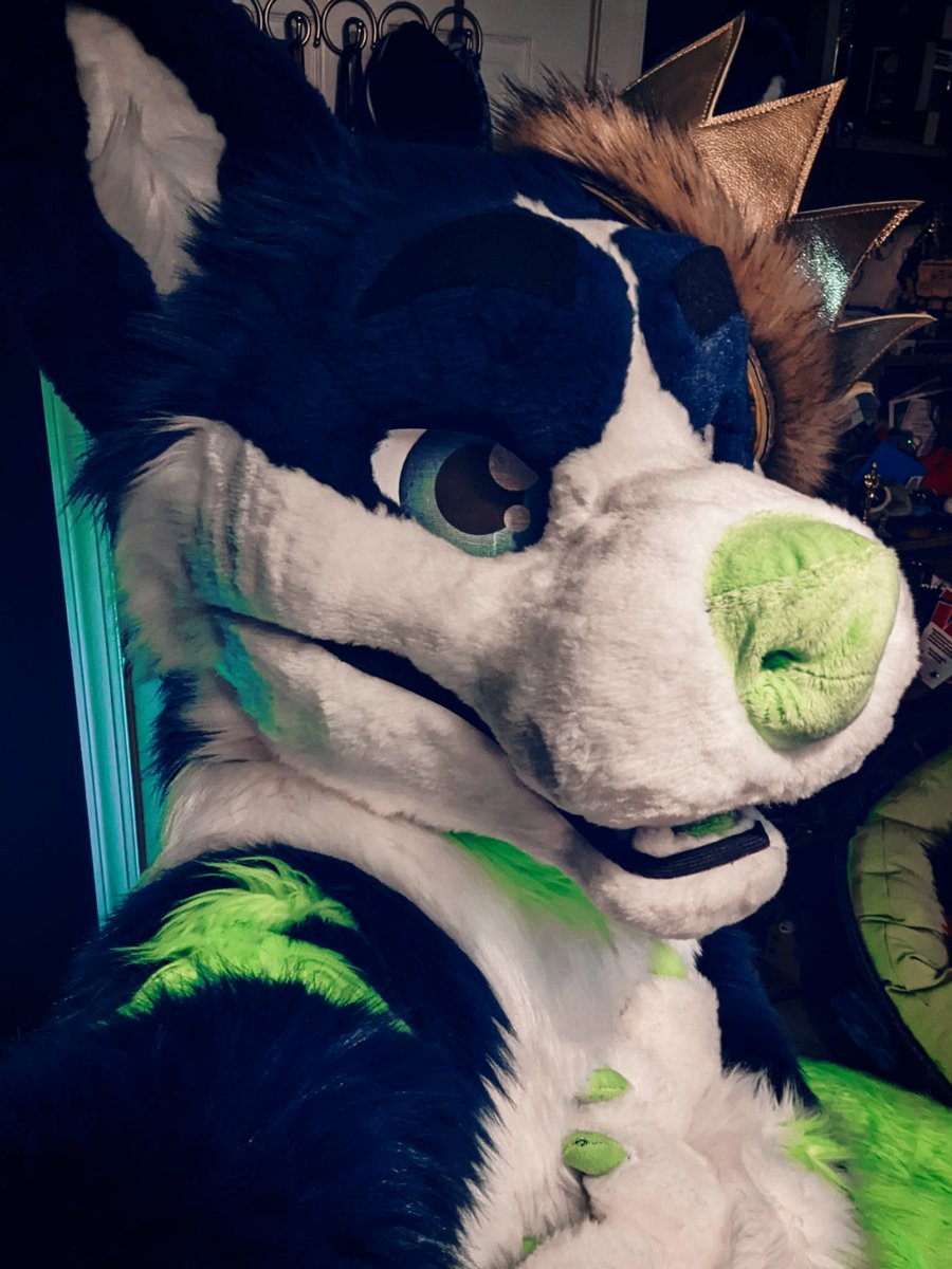 LeonHusker's tweet photo. I am   d o g 🦴
He's finally came togetherrrrr 💚 https://t.co/HL7CUzZqAr
