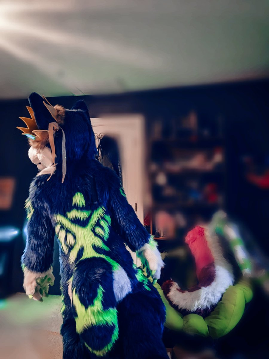 LeonHusker's tweet photo. I am   d o g 🦴
He's finally came togetherrrrr 💚 https://t.co/HL7CUzZqAr