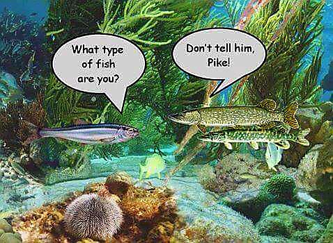 Fi 🌱🦖🌼🦖🌱 tweet media