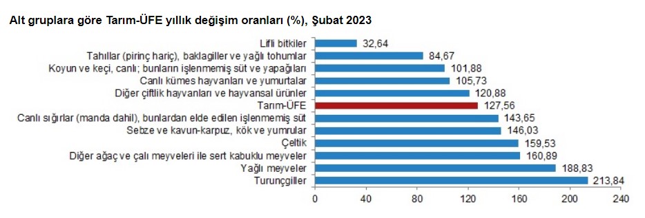 Dün deprem bölgesinde olduğum için Tarım-ÜFE verisini bir gün gecikmeli paylaşalım👇

🔴TARIM-ÜFE Şubat'ta aylık bazda %6.58 artarken, yıllık %127.56 yükseldi

En yüksek aylık artış %24.1 ile sebze ve kavun-karpuz, kök ve yumrular

En yüksek yıllık artış %213.9 ile turunçgillerde
