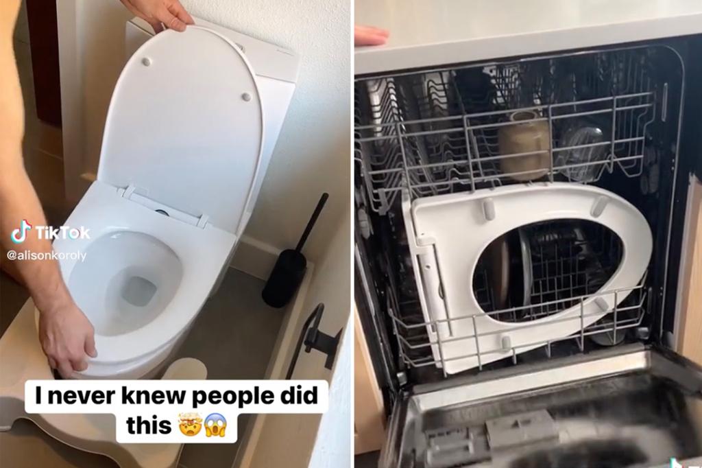 New York Post on Twitter "I put my toilet seat in the dishwasher ‘I never knew people did this