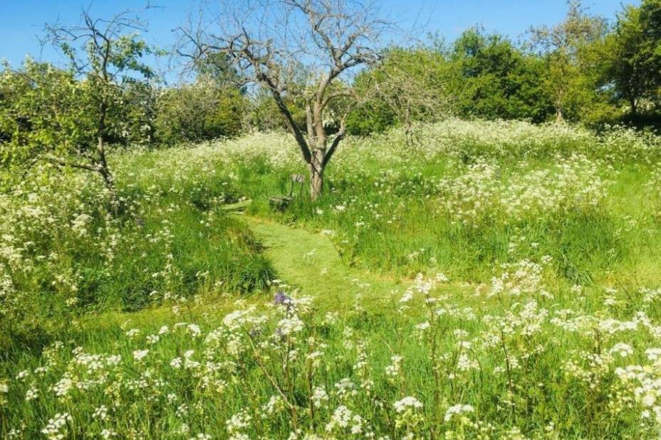 BorrowmyGarden's tweet photo. #NewListingAlert #Essex

Host your #OutsideEvent in this recently planted wildflower meadow in a marquée or tipis.

Your guests can camp or glamp and there are inside options too.

Find out more &amp; contact the venue directly here. 

https://t.co/4us6eU8srL https://t.co/7t1IcjD6zn