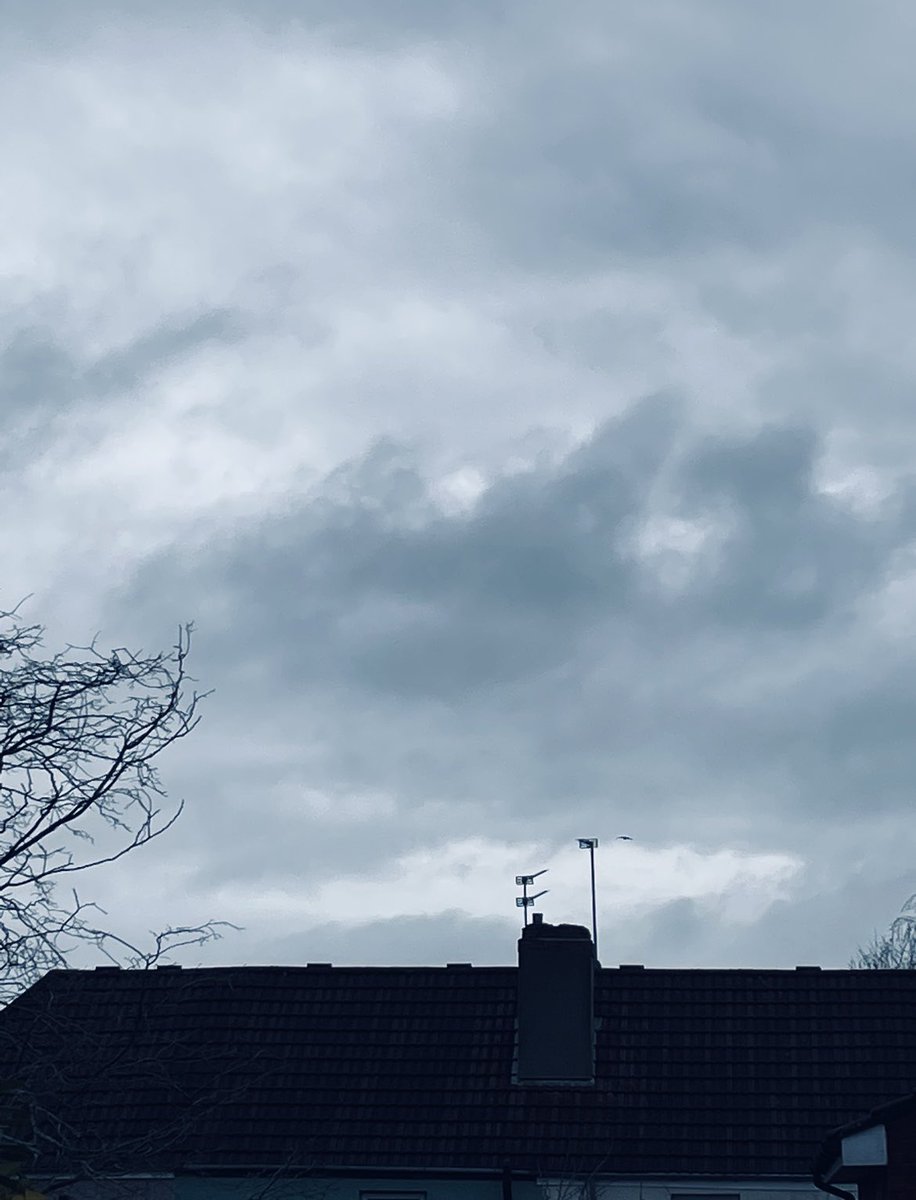 Skippy808's tweet photo. Observe thoughts without judgement

#street #photography #sky #cloud #formations #constantlychanging https://t.co/iD8sFBMlgc