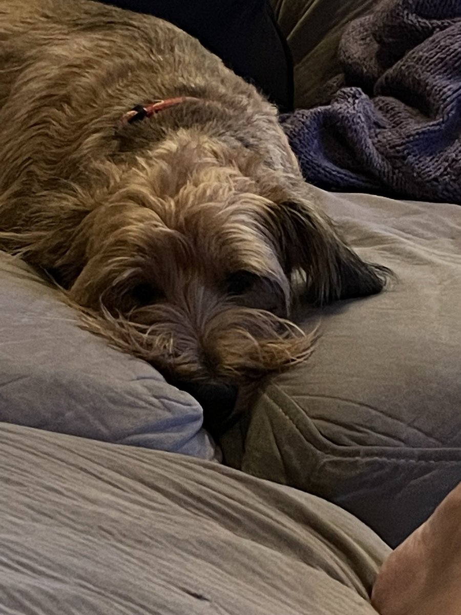 Phil Dyer tweet media