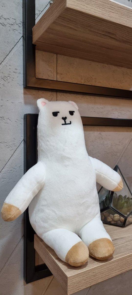 welson1203 tweet media