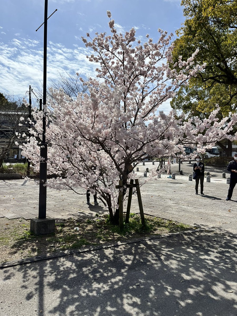 AguideMonsieur's tweet photo. Bonjour depuis Kyoto 🌸

📍la ville de Uji https://t.co/A6i3NBeXd2