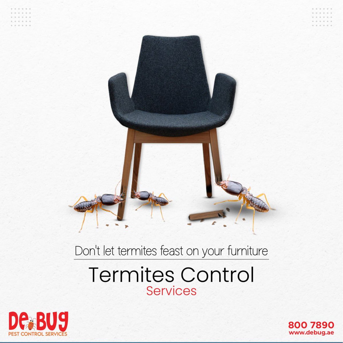 Debuguae's tweet image. Tiny critters chewing their way up your property? Let us help you reclaim your space! 
We use the latest technology and eco-friendly products to eliminate termites and protect your space from future infestation. Contact us: 8007890

#termite #termitecontrol #termiteproblem