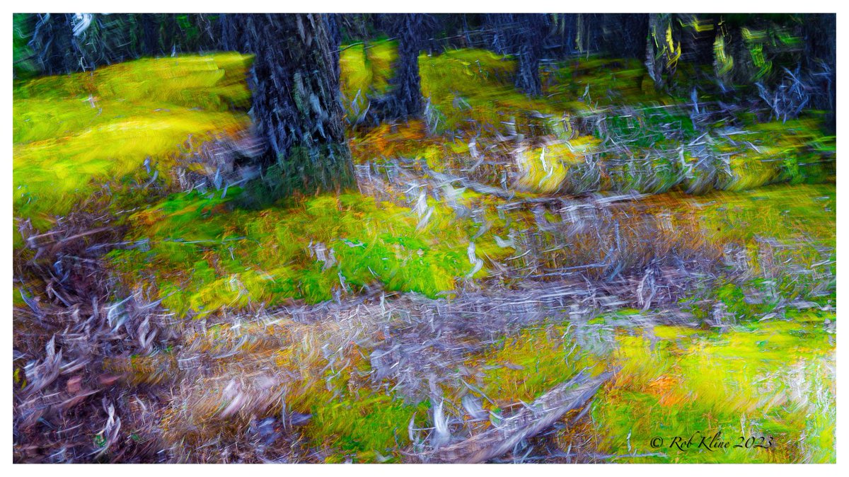 Moss & debris on Rocky Mountain top. #abstract #abstractphoto 
#icmphoto #icmphotography #icmabstract #multipleexposure #impresionisticphotography #icmphotos#abstractexpressionism  #visualart  #bluronpurpose  
#forest  #intothewoods #saltspringislandbc #southerngulfislands