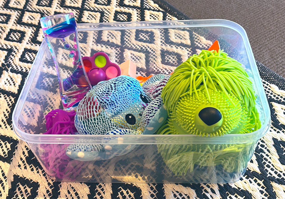 Created a sensory box for the classroom to help students regulate emotions and de-escalate from heightened emotions #sensorytoys #sensory