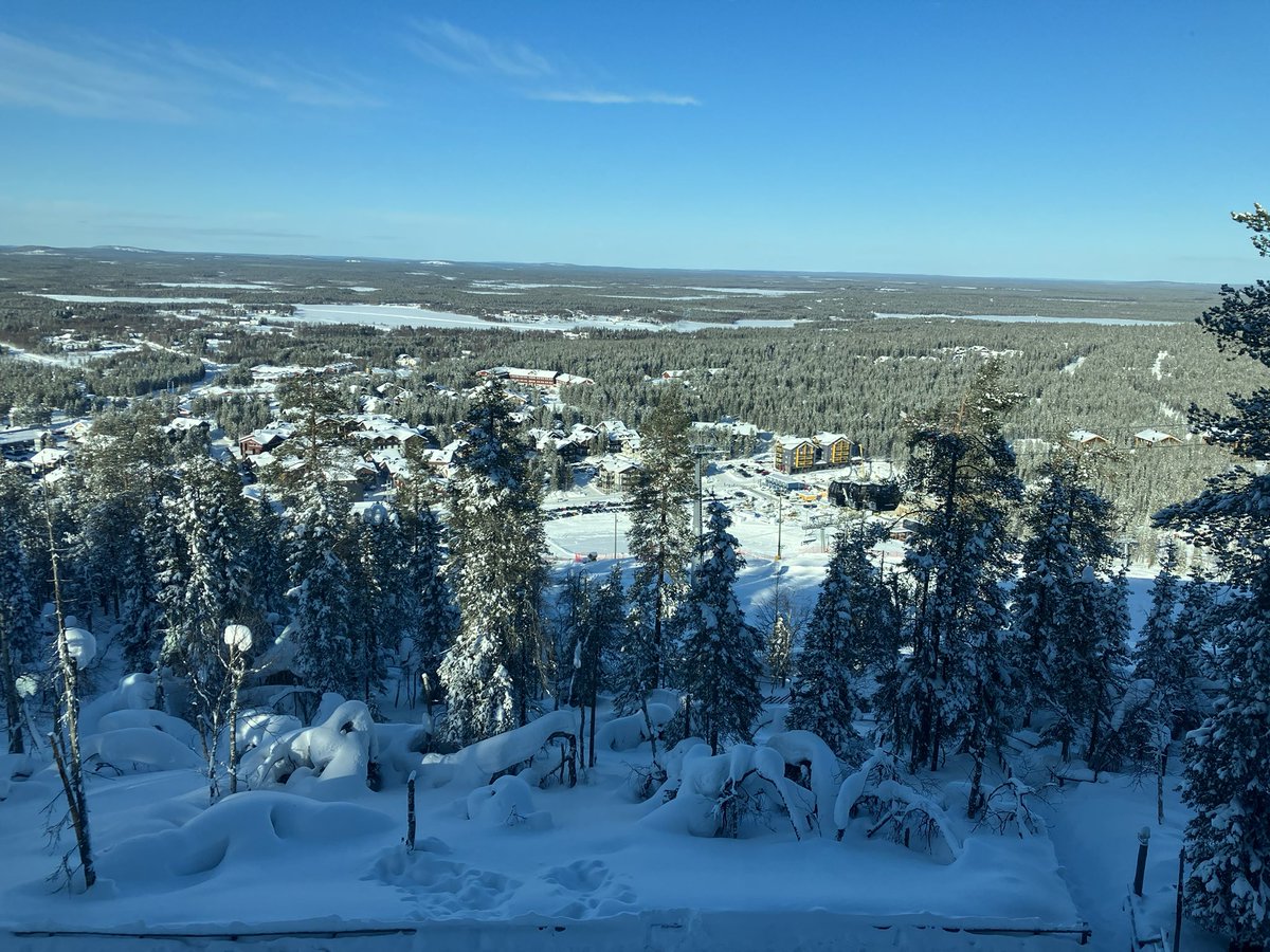 Lassi Roininen tweet media