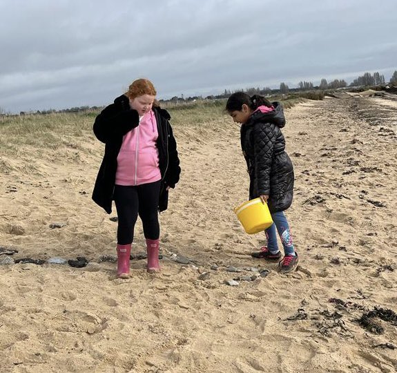 Yew Class tweet media