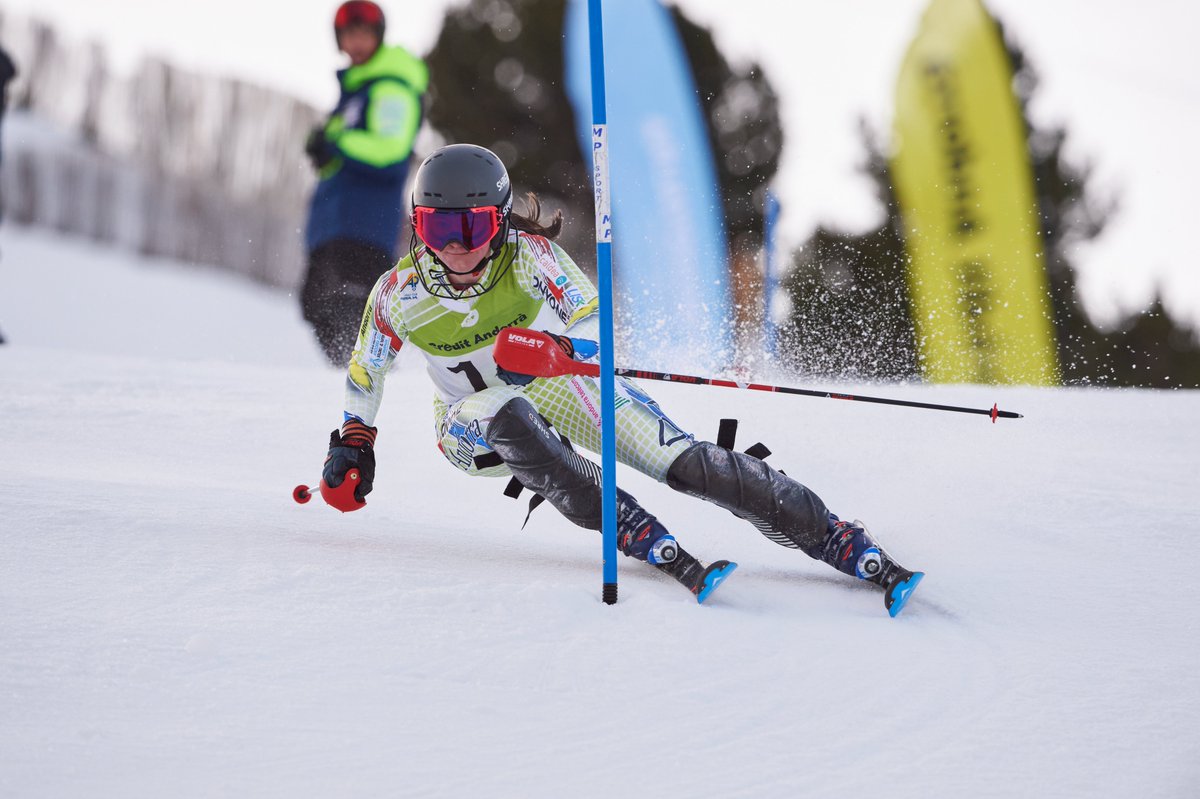 Federació Andorrana d'Esquí tweet media