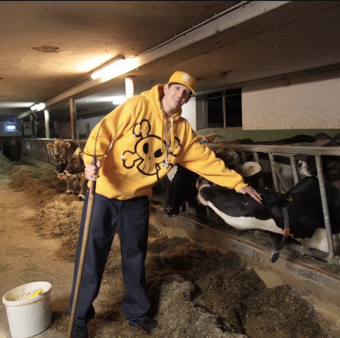 hiphoparchiv's tweet photo. money boy streichelt eine kuh (v.l.n.r.) (2011) https://t.co/rzseMmA58I