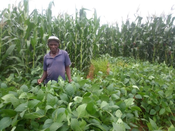 It's the FINAL day of the Soil Regen Summit! Our soil summit community has allowed us to train thousands of new farmers in Malawi to make their landscapes sustainable and resilient. With each donation we can do more 🌍💚 tiyeni.org/summit-donate thank you!