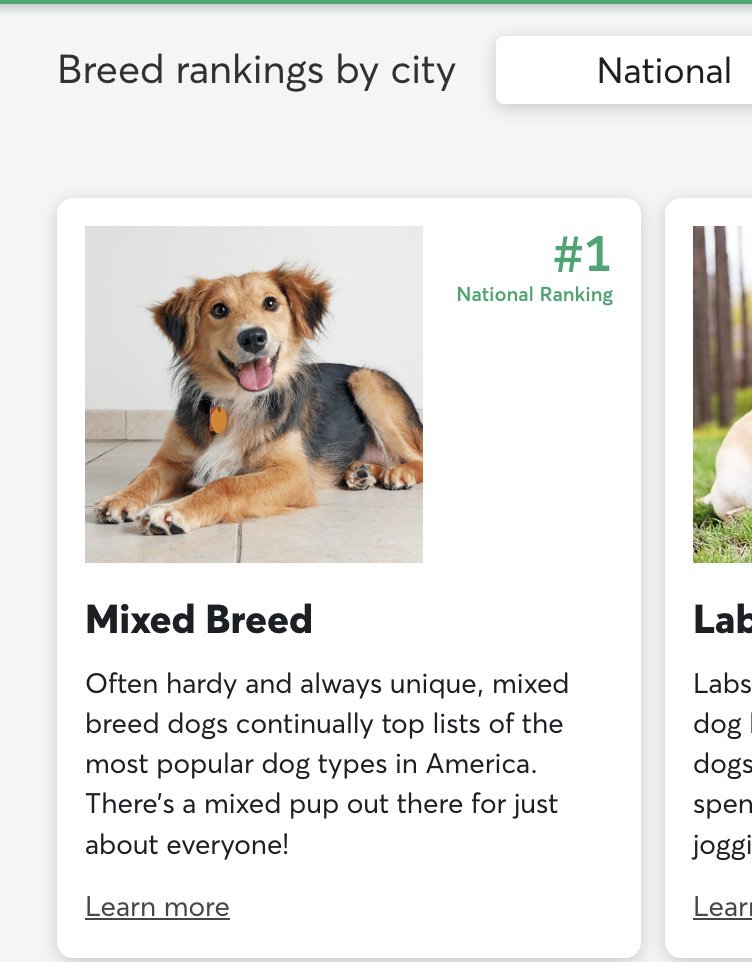 I don't know what the actual most popular dog breed in America is, but for most dog owners it's probably something like "we have no idea what he is but he smiles like a doofus," as shown in Rover.com's own version of this survey