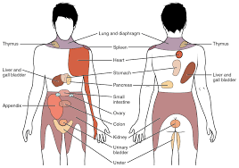 JPainManagMed's tweet photo. #Radiating_pain refers to pain that travels from one part of your body to another. The reason that radiating pain happens is due to the fact that all your #nerves are connected. 

Visit: https://t.co/vpLBjeKMhT

Submit research at: https://t.co/GsPcacAaFC https://t.co/XnTUbFRgUI