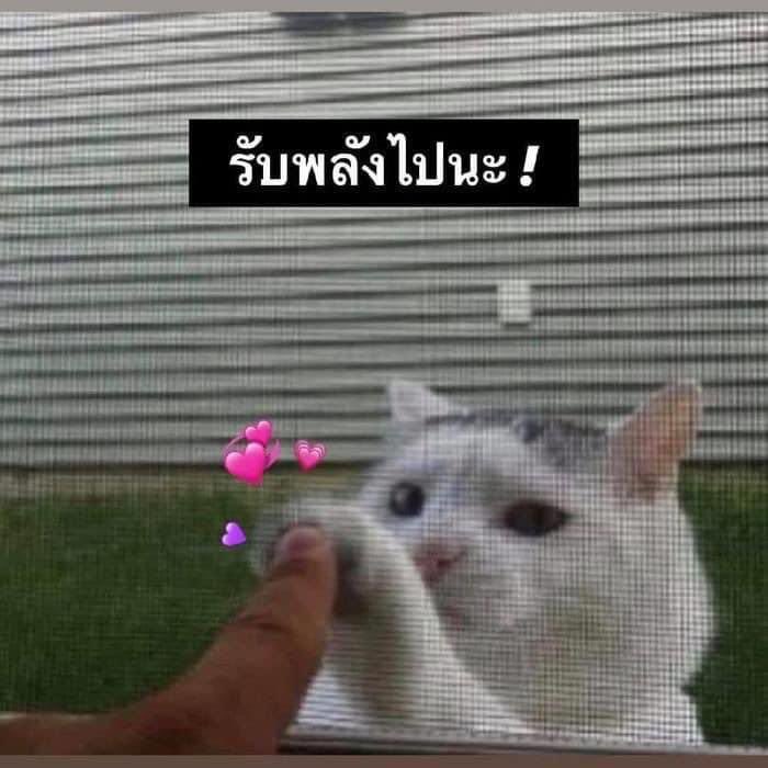 เหนื่อยไหม มาแปะมือกัน 👋🏻