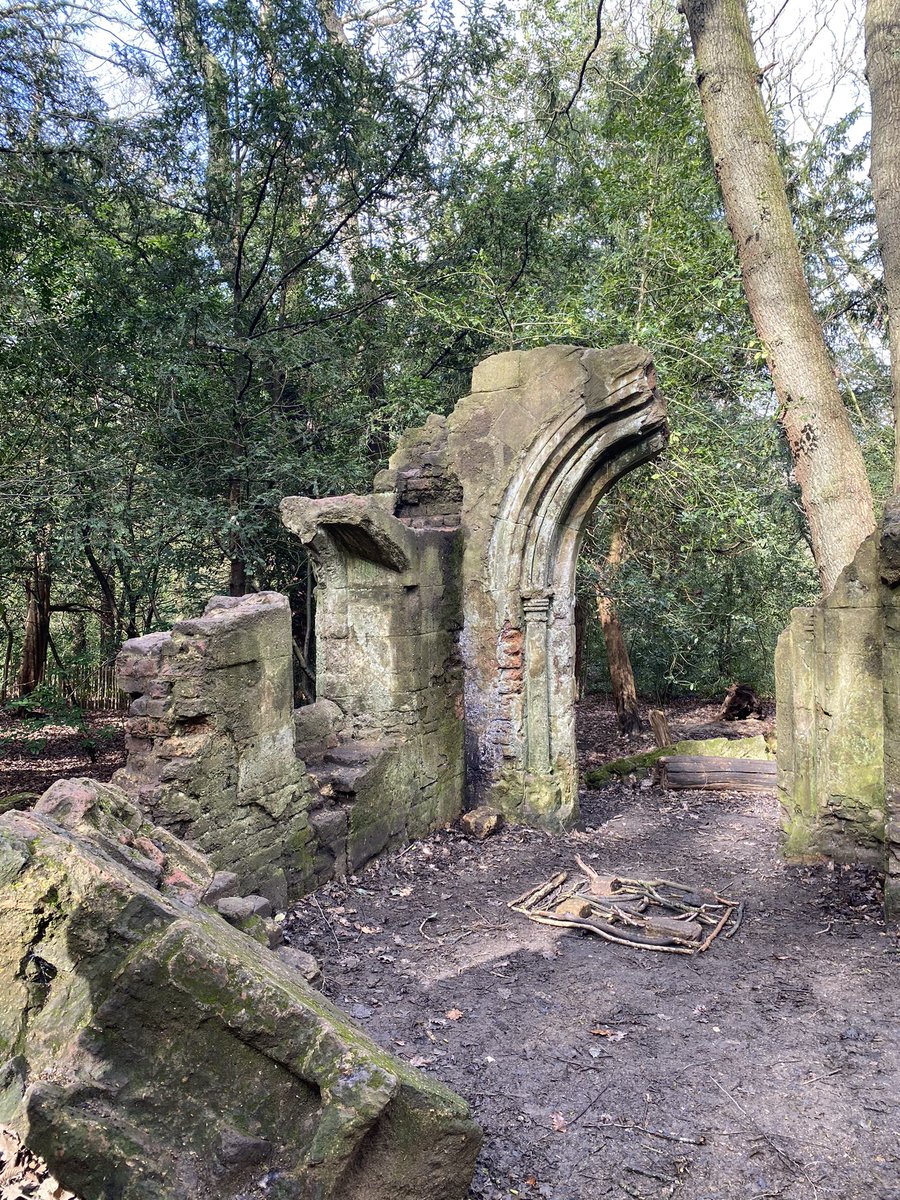 Helen Hayes 💙🌹 tweet media