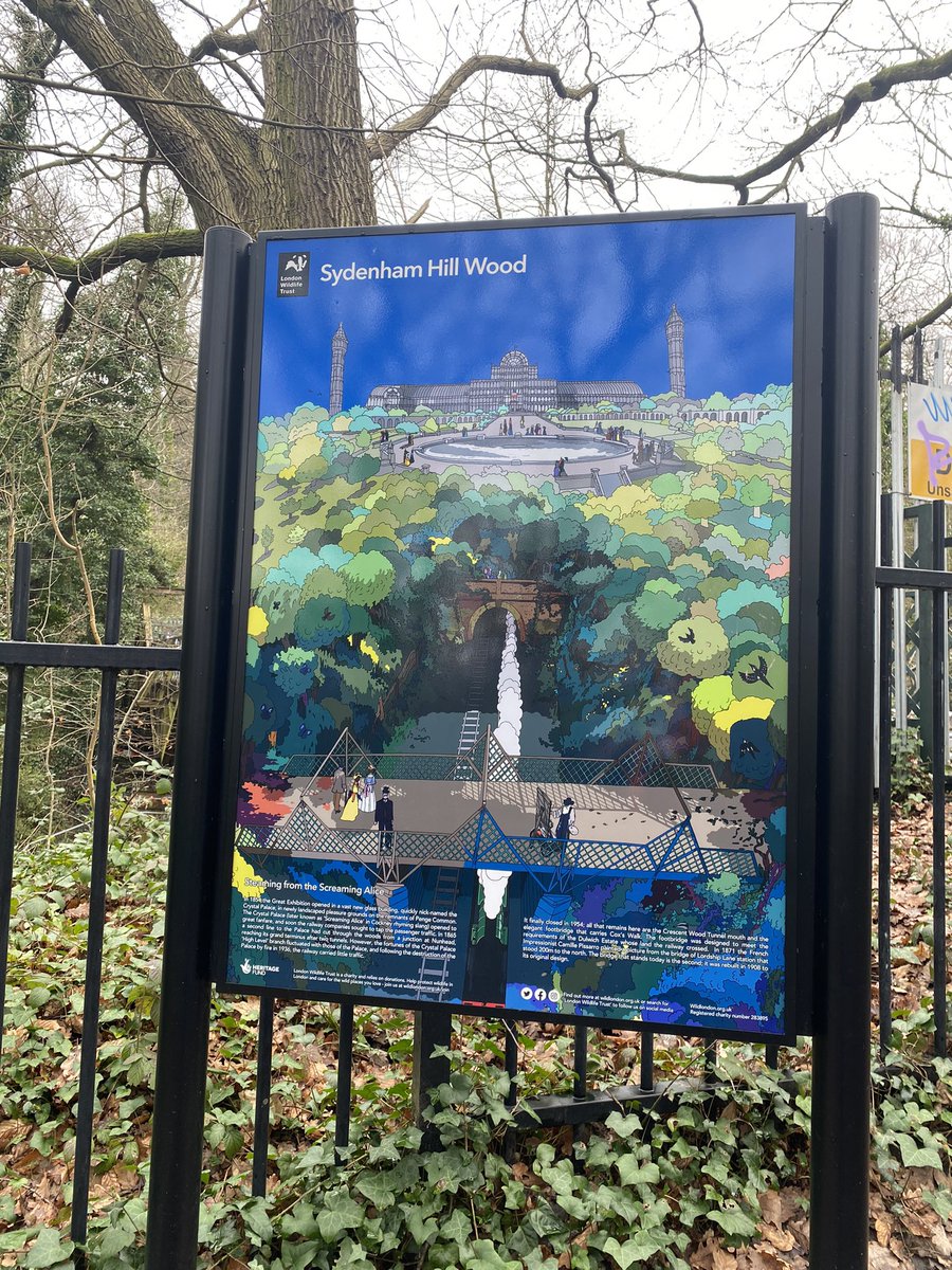 Helen Hayes 💙🌹 tweet media