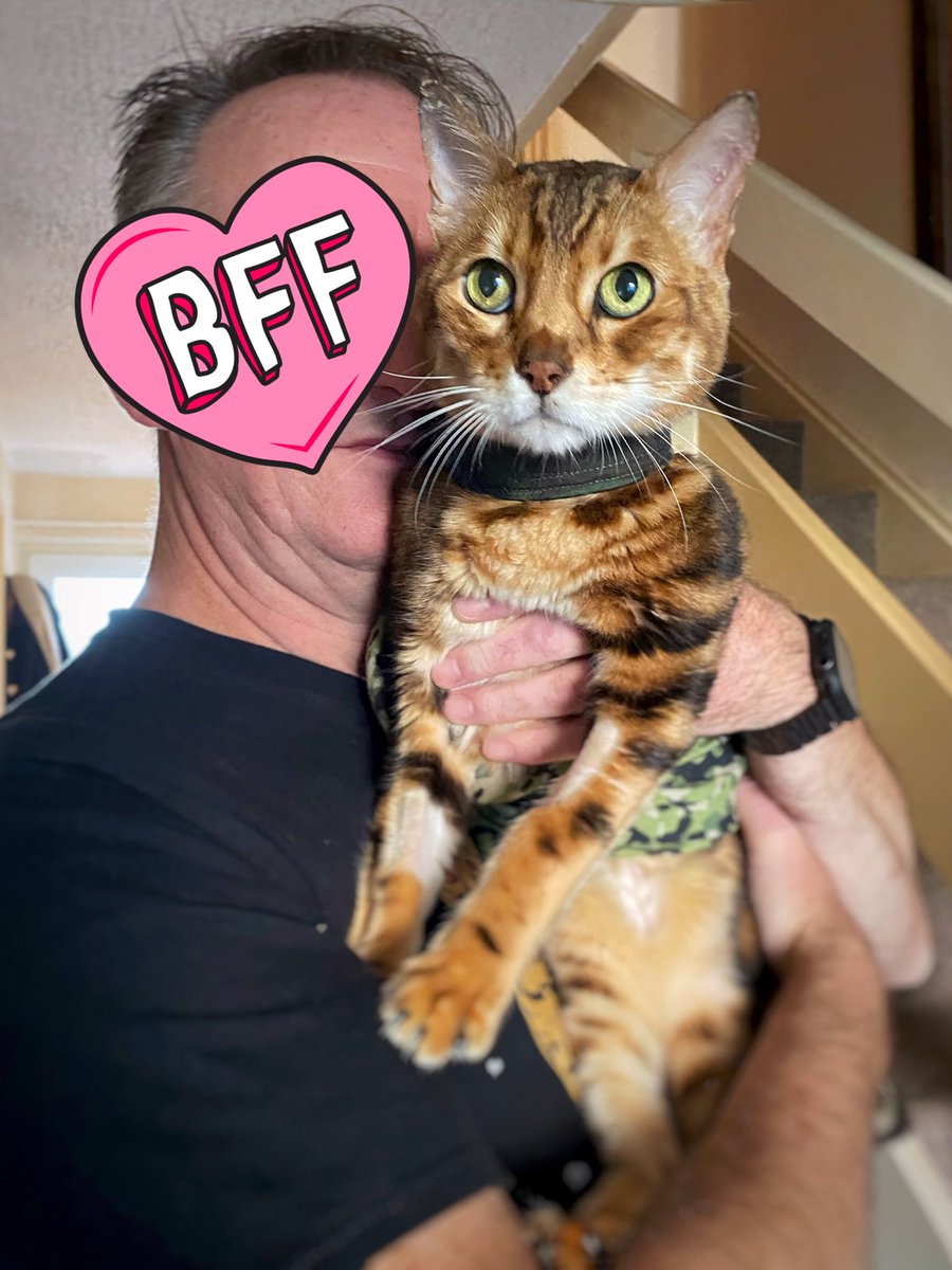 psylosix's tweet photo. 6 months ago I held you for the last time, told you I love you and kissed your head for the last timer. I miss you so much buddy. Love you Pi Majoo💔💔💔😭😭😭 #TheLifeOfPi #MajooCrew #TeamBengalForever #DadsBoy #LoveNeverDies #ThrowbackThursday https://t.co/NchizrxTEZ