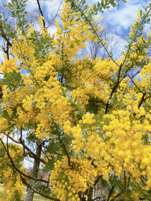 植物公園でのんびり〜 