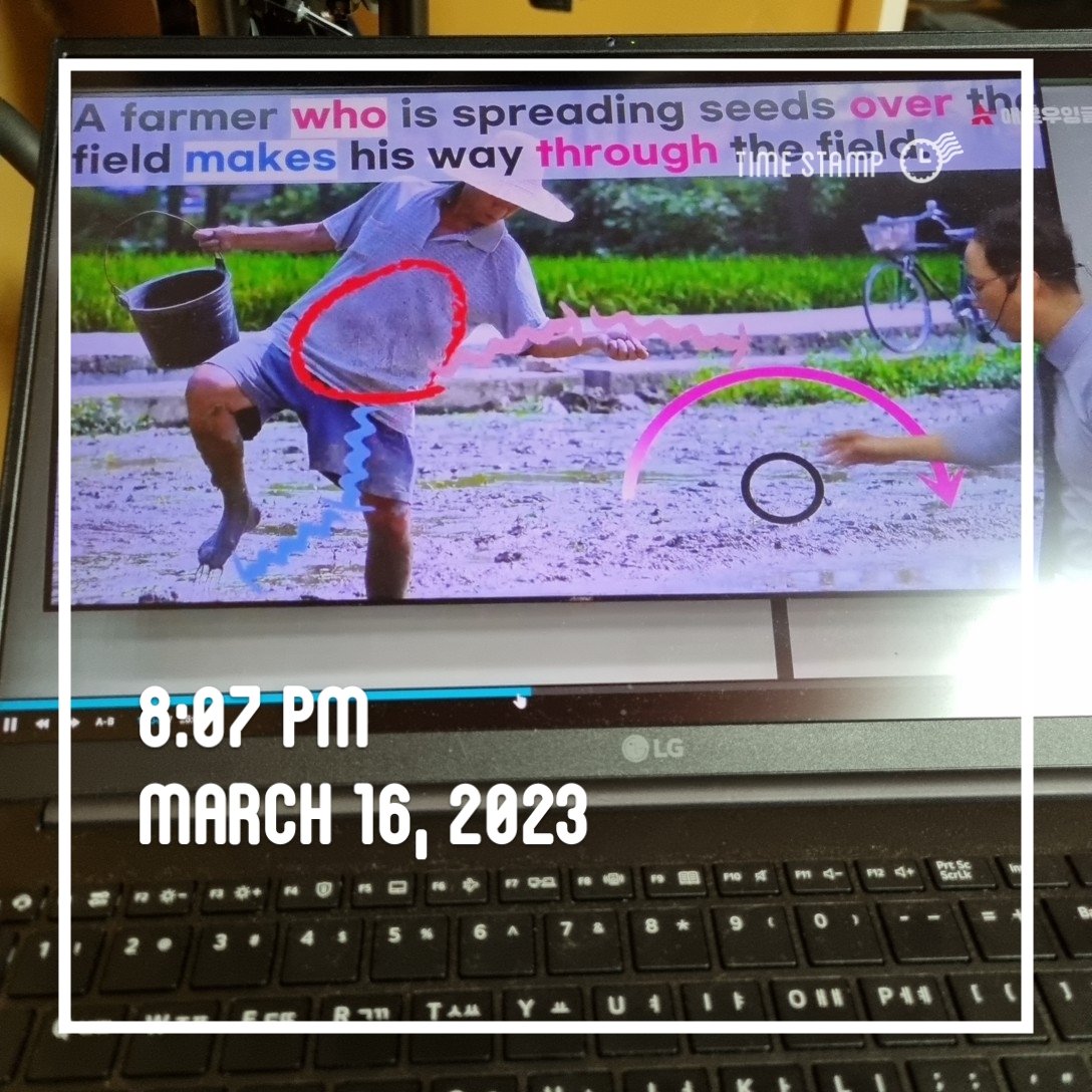 또바기개나리 tweet media