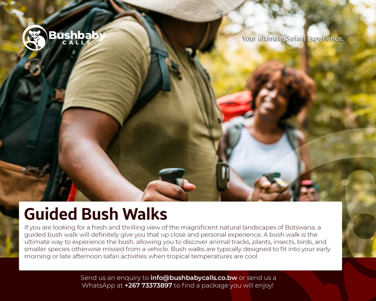 Send us an enquiry to info@bushbabycalls.co.bw or send us a WhatsApp at +267 73373897 to find a package you will enjoy! 

#naturewalks #bushwalks👣 #guidedbushwalk   #africansafari #budgetsafari #tentedcamping #travel
#guidedtours #botswana #botswanatourism #botswanasafari