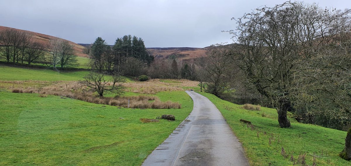 Metro Rod (S.Yorks) tweet media