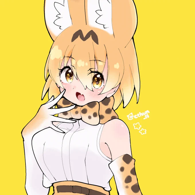 集 