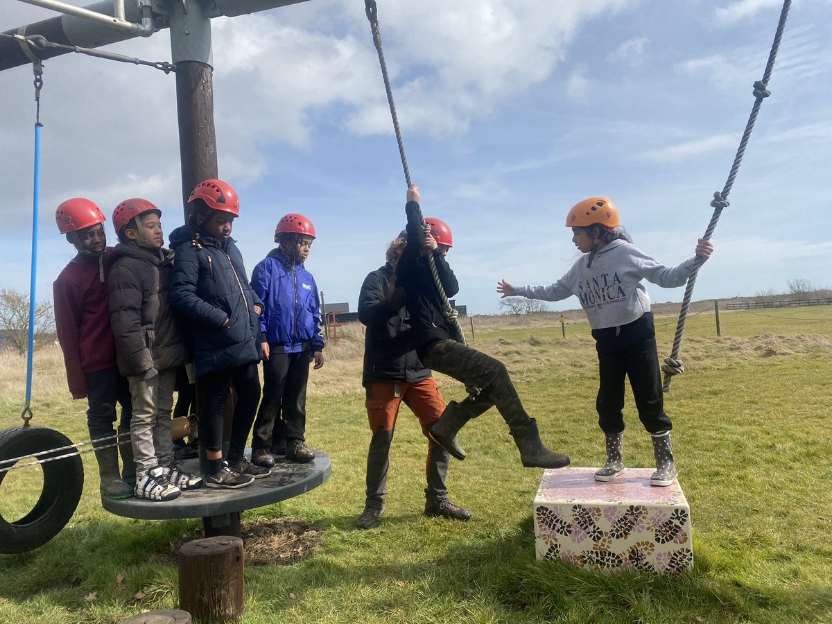 CedarFoxfield tweet media