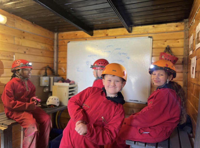 CedarFoxfield tweet media