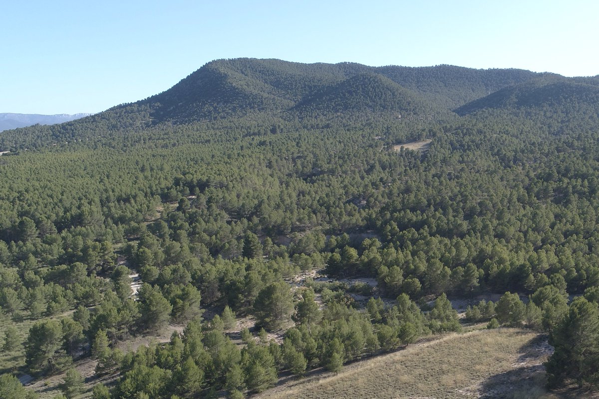 El Grupo Operativo para la Digitalización de los Recursos de Biomasa Disponibles para una Economía Circular (#SmartForestry) desarrolla el proyecto de innovación "Digitalización de los recursos forestales para generar servicios ecosistémicos en un escenario Green Deal" #Biomasa🌲