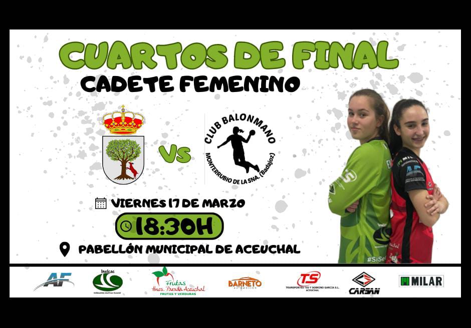 Balonmano Aceuchal tweet media