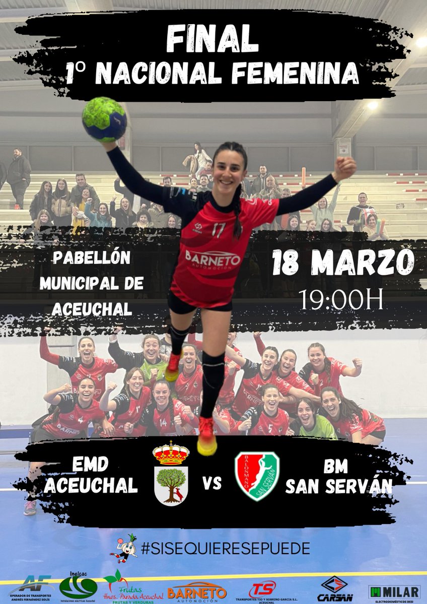 Balonmano Aceuchal tweet media