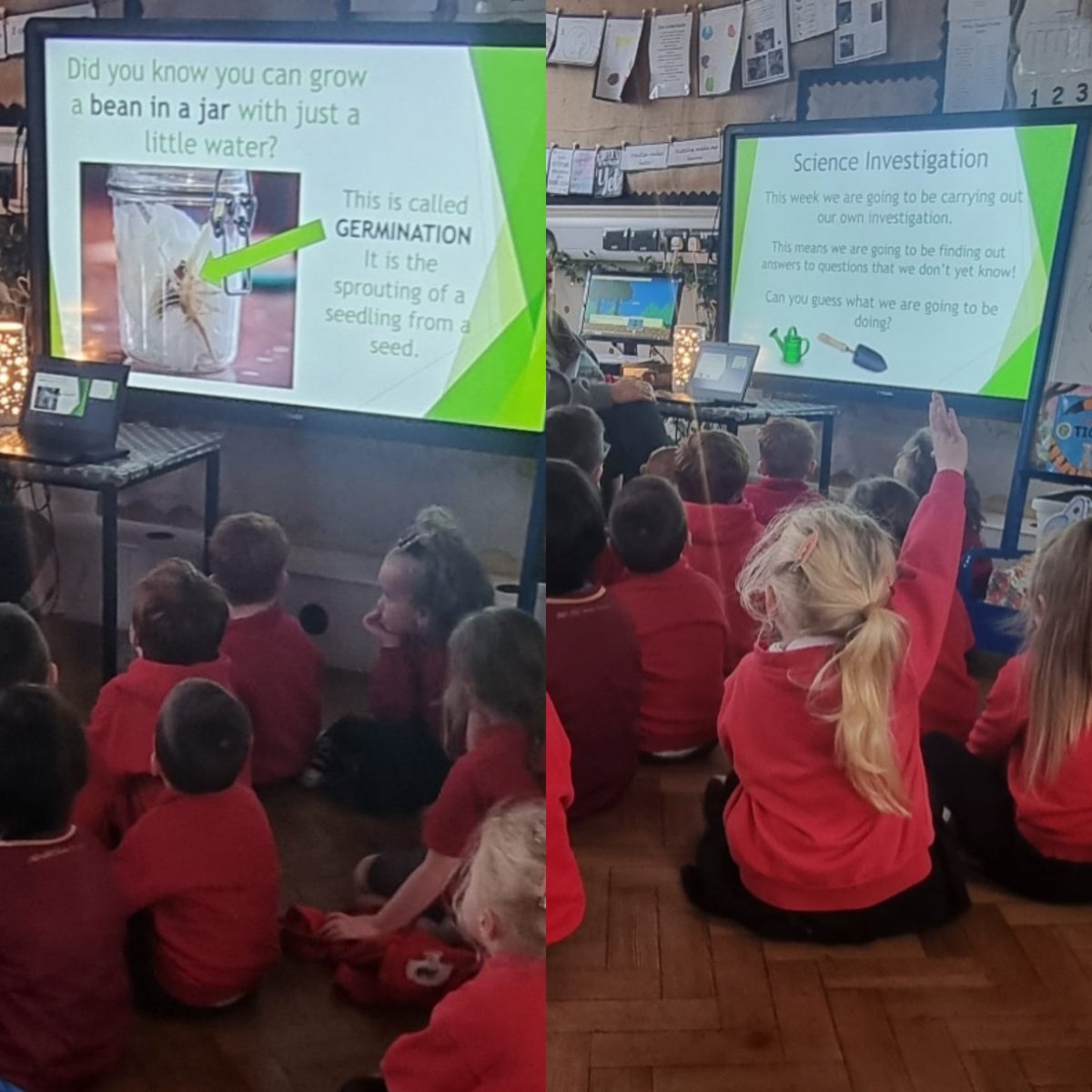 BubsyTownhill's tweet photo. Reception have been learning all about 'Germination'. Our story of the week is 'Jack and the Beanstalk' so we wanted to plant a magic bean of our own. We now know that plants are living things and need to be looked after. #TCSST #tcsreception https://t.co/SaDW4Wxzbo