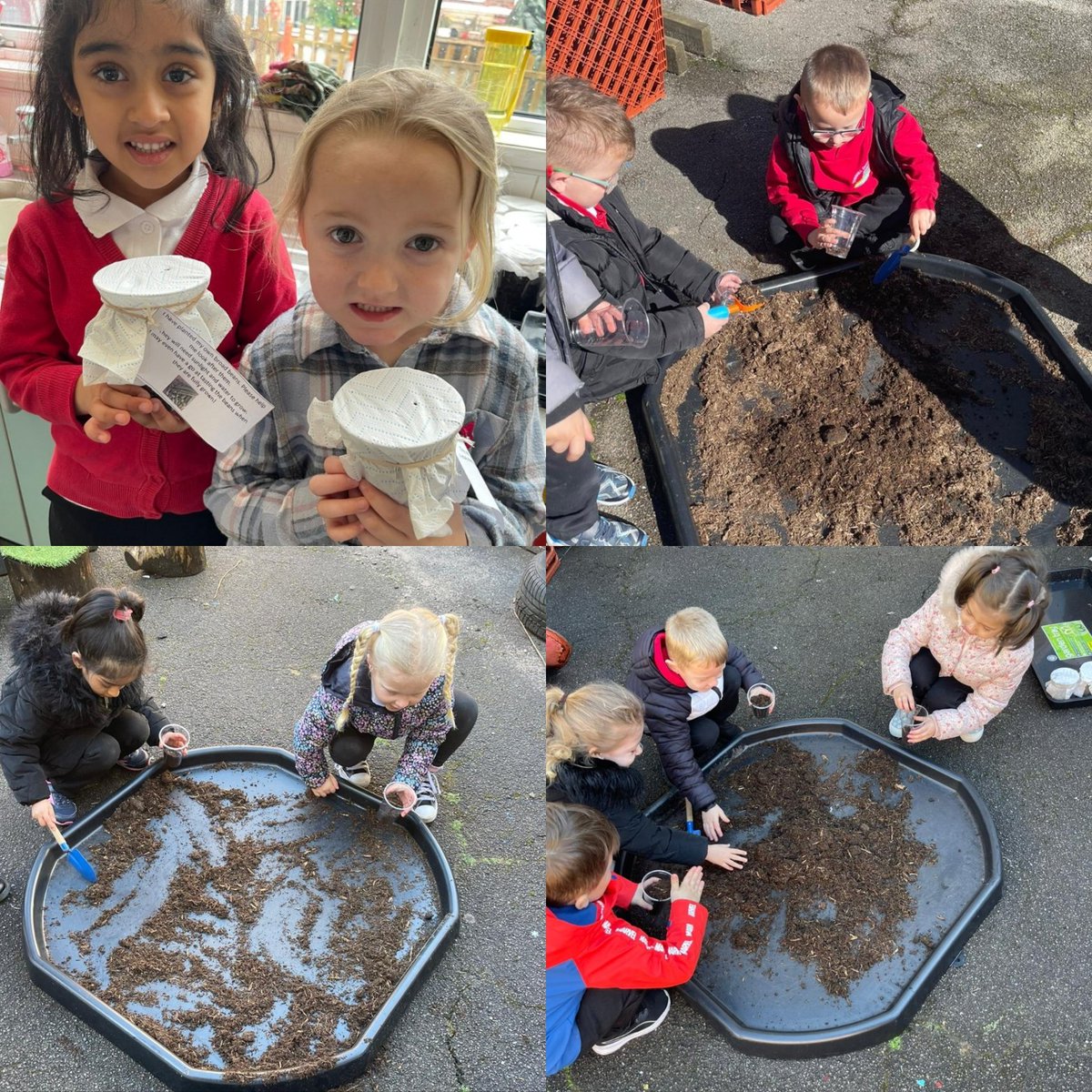 BubsyTownhill's tweet photo. Reception have been learning all about 'Germination'. Our story of the week is 'Jack and the Beanstalk' so we wanted to plant a magic bean of our own. We now know that plants are living things and need to be looked after. #TCSST #tcsreception https://t.co/SaDW4Wxzbo