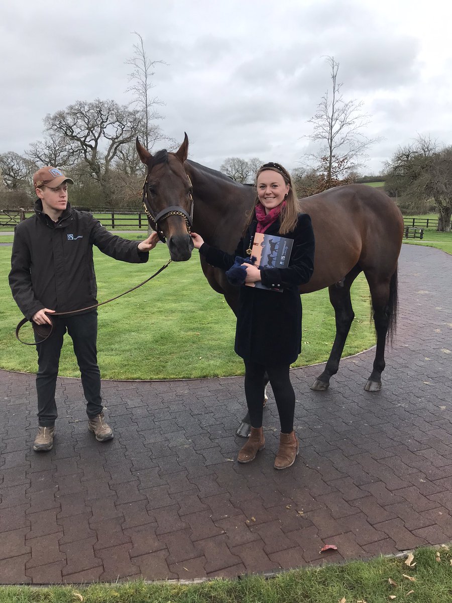 HannahLWalker6's tweet photo. Lovely morning seeing the @Tweenhills stallions before Cheltenham races https://t.co/8qdt7Nvmq8