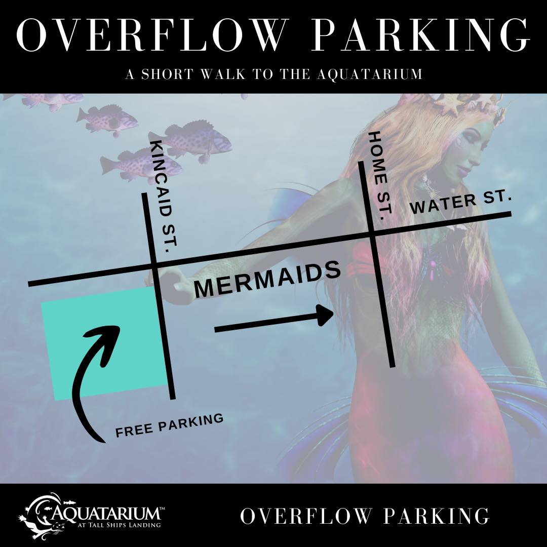 BrockvilleTour's tweet photo. Headed to the Mermaid Experience at @AQAquatarium and looking for parking? Free overflow parking has been added at the corner of Kincaid St. and Water St! 
You can also access the @BrockvilleON parking map here: https://t.co/Myl7L8A5uc https://t.co/fwqFJu6WjJ