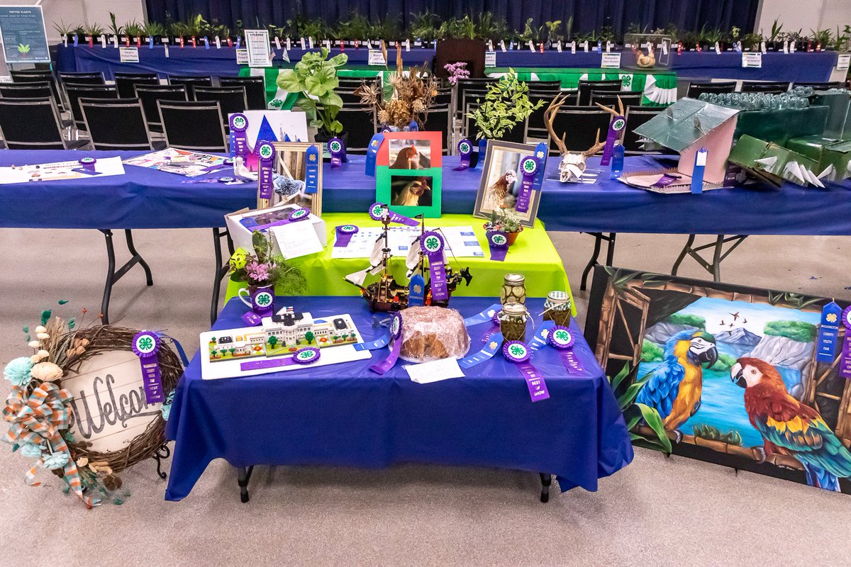 CynthiaValle99's tweet photo. We were able take some photos of the Washington County Youth Fair, which is always a joy because of the cute cows. #WCYF #4H #FPTC https://t.co/lIZDUAwPm2