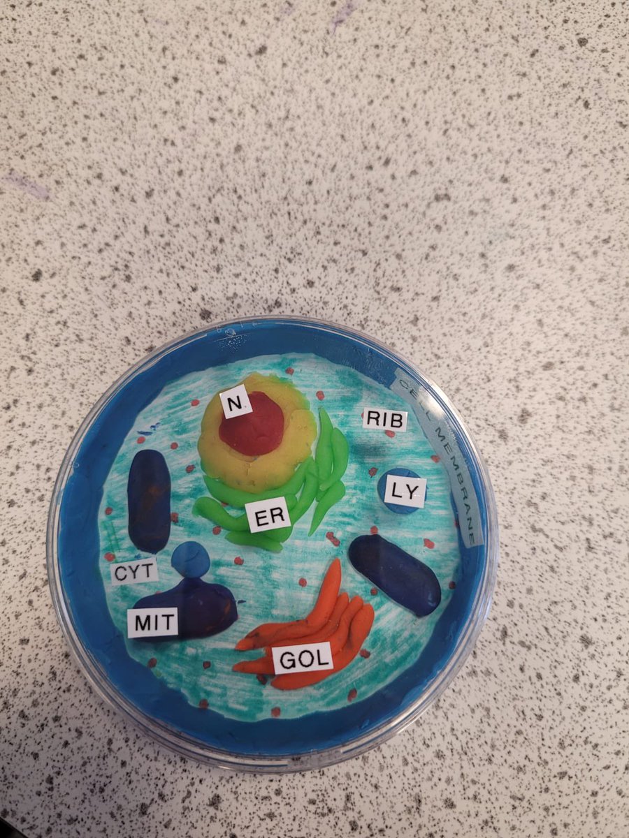 BA_Science1's tweet photo. https://t.co/UdVXM1MWxa
