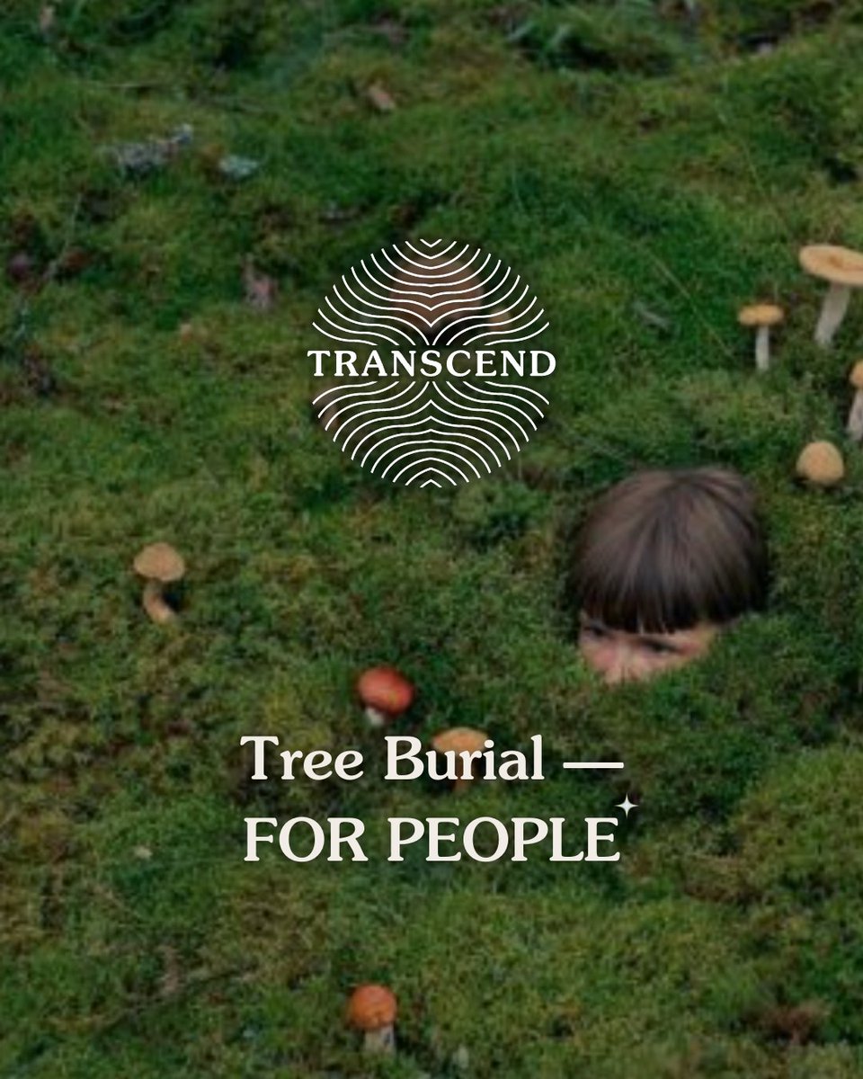 Transcend Tree Burial tweet media