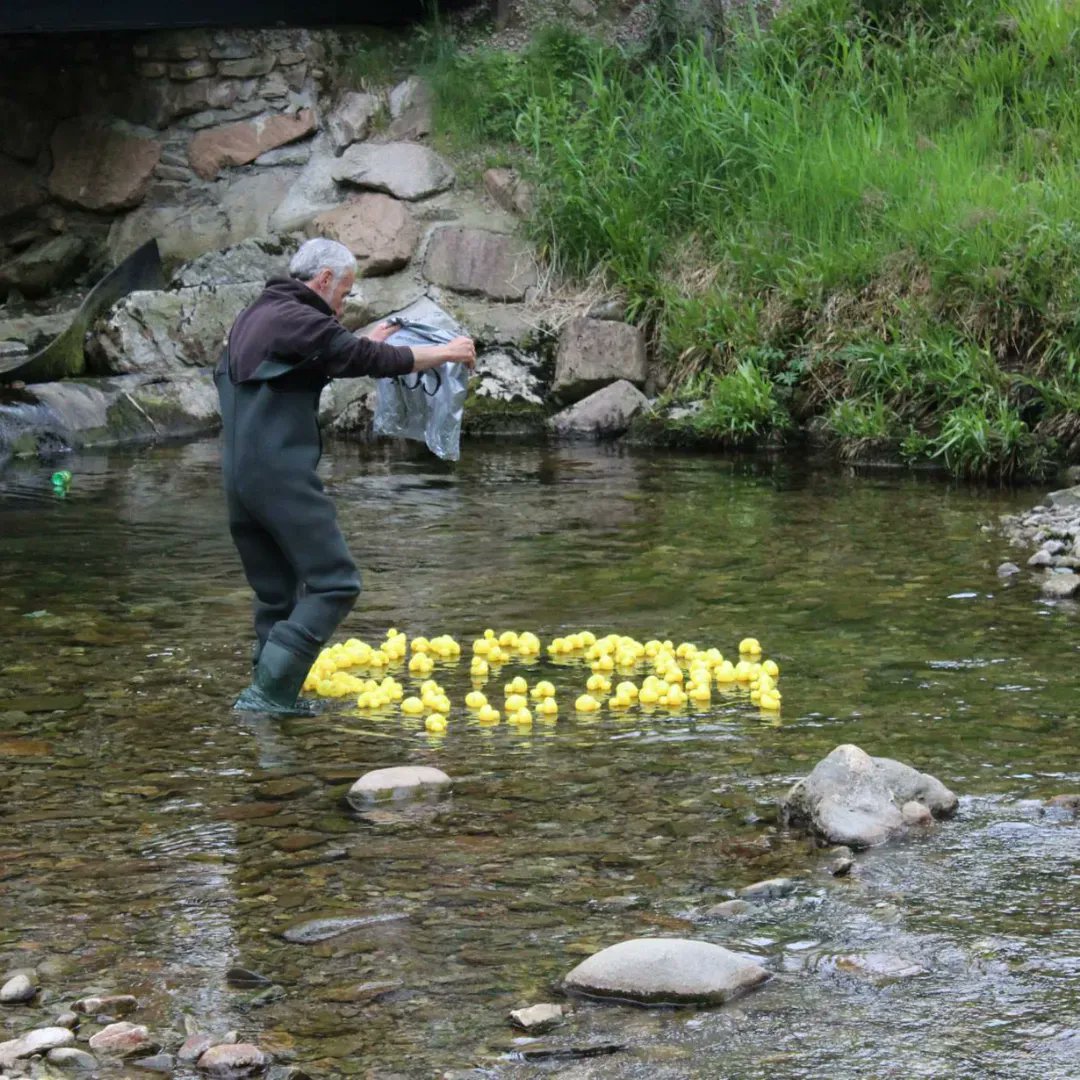HighlandHols's tweet photo. Our annual duck and boat races are returning to Tyndrum Holiday Park!🦆🏁

Why not come along and join us on April 9th for an afternoon of Easter fun?

Keep an eye on our social media for more details coming soon 👀 
#easter #duckrace #tyndrumholidaypark https://t.co/KGWehuWXbo