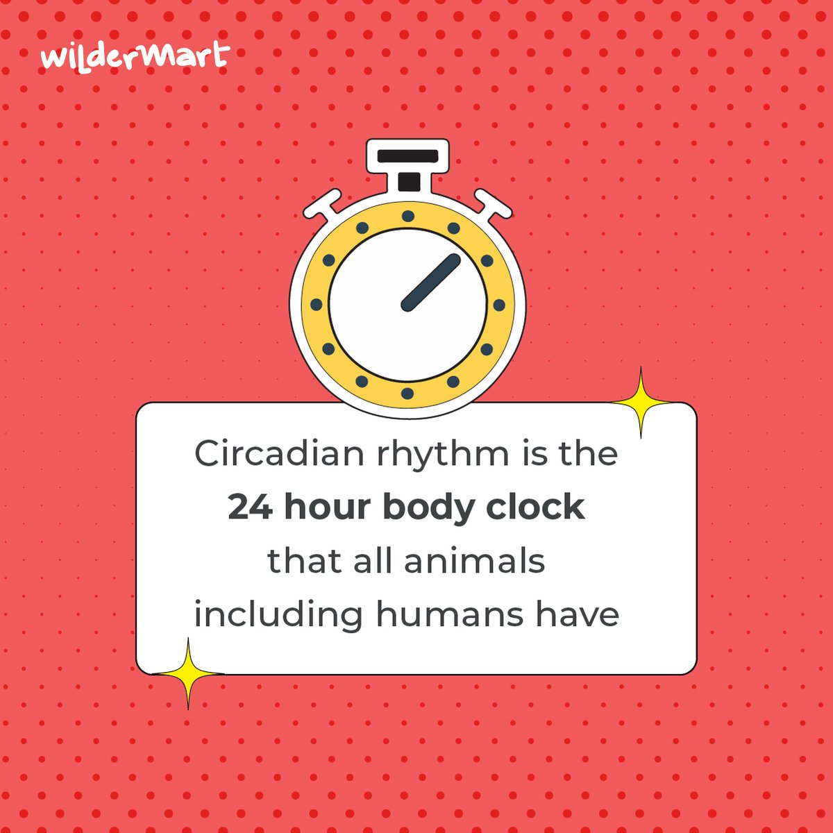 WildermartIndia's tweet photo. With World Sleep Day coming up, let's look at circadian rhythm, why it's important and how we can reset it! https://t.co/8oMUf7aQHZ