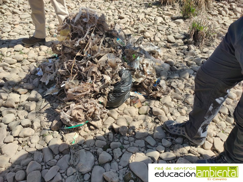 CENTROCAMPILLO's tweet photo. Hoy nos hemos sumado a los #voluntarios del #ProyectoLIBERA #Libera1m2 por los #ríos, #lagos y #embalses con
@SEO_BirdLife que han venido a limpiar la orilla del #ríoJarama Hemos clasificado los residuos con #eLitter @Vertidos_Cero ¡Ojalá no hubiera hecho falta! 😩 https://t.co/h6owHddiFG