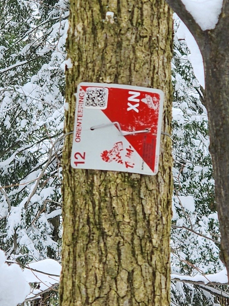 Last Saturday the Orienteering Team went to Chestnut Ridge for practice. They had a blast in the snow, and found all 3 points. Practice ended with lunch at Mongolian Buffet!