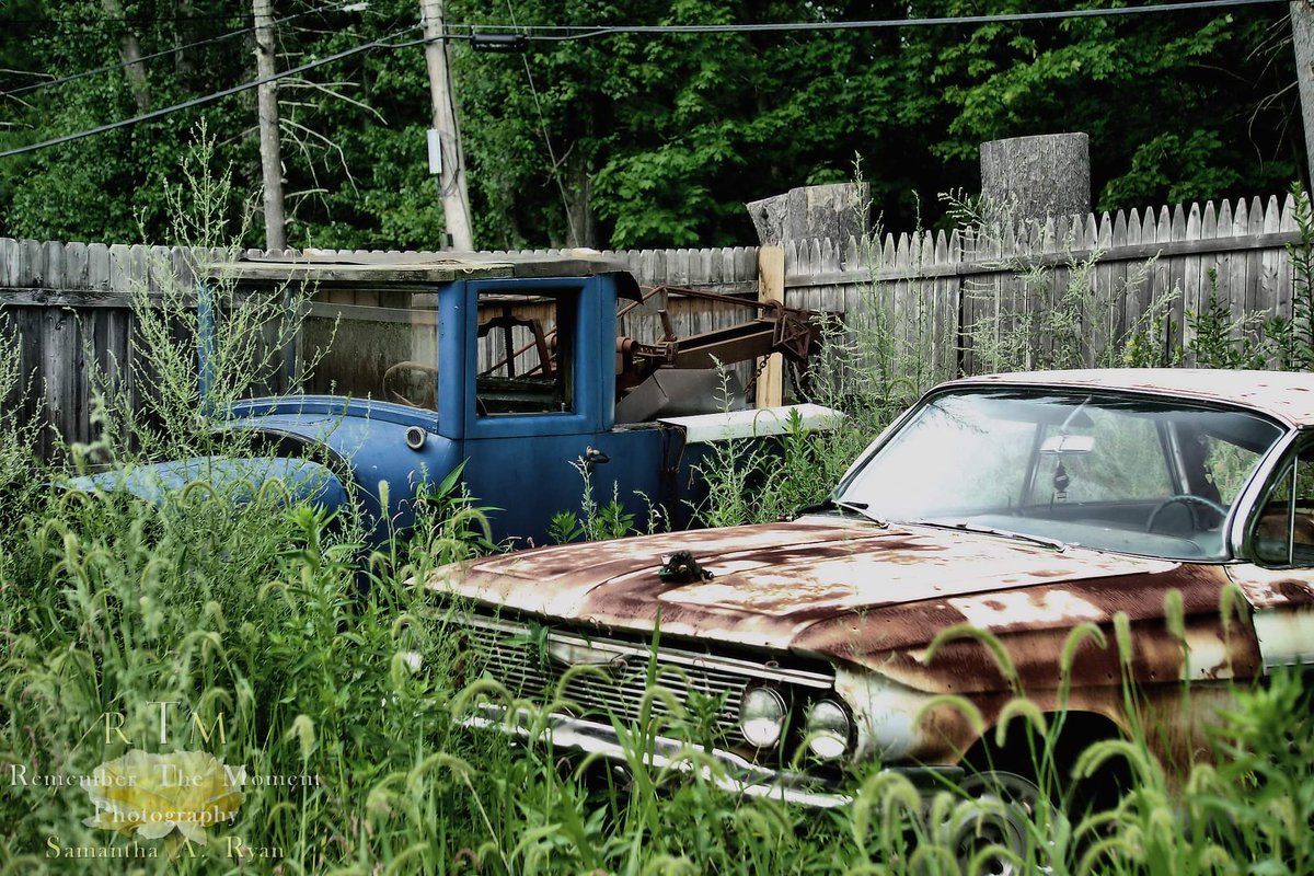 RememberTheMoment📸 tweet media